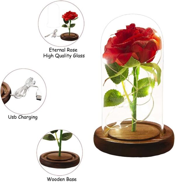 URBANSEASONS Beauty and The Beast Rose Flowers,Birthday Gifts for Women,Artificial Flower Gift Romantic Red Silk Rose, Flower in Glass Dome Women Gifts for Her,Wife,Mom,Valentines,Anniversary - Image 4