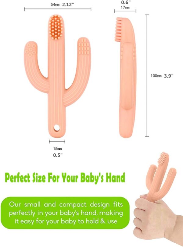 Cactus Teether Baby Toothbrush, Self-Soothing Pain Relief Soft Baby Teething Toys, Training Kids Toothbrush for Babies, Toddlers, Infants, Boy and Girl, Natural Organic BPA Free, 3+ Months(Peachy) - Image 3