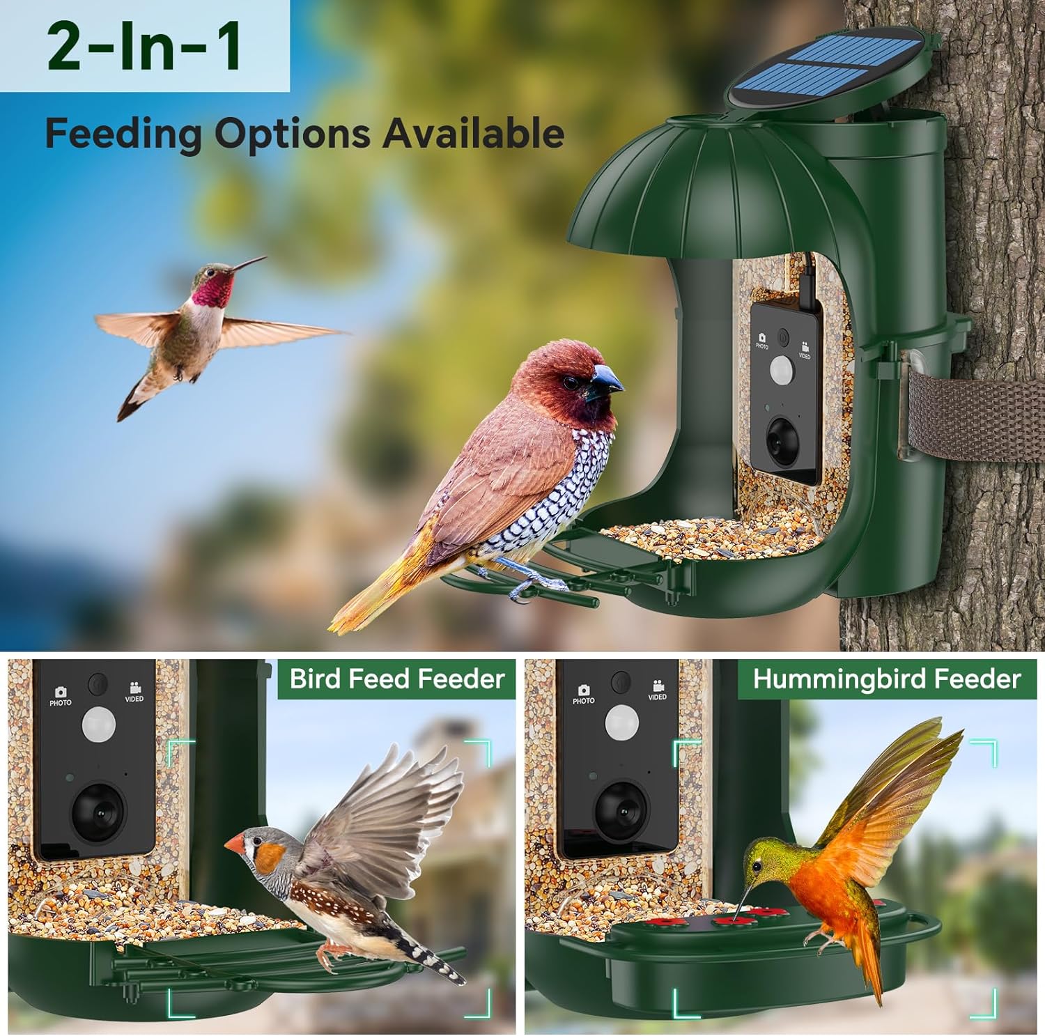 Bird Feeder with Camera, Waterproof Smart Bird Feeder with Camera Solar Powered for Outdoors, Rechargeable & Detachable 110° Bird Feeder Camera, Auto Capture Bird HD Videos & Photos - Image 3