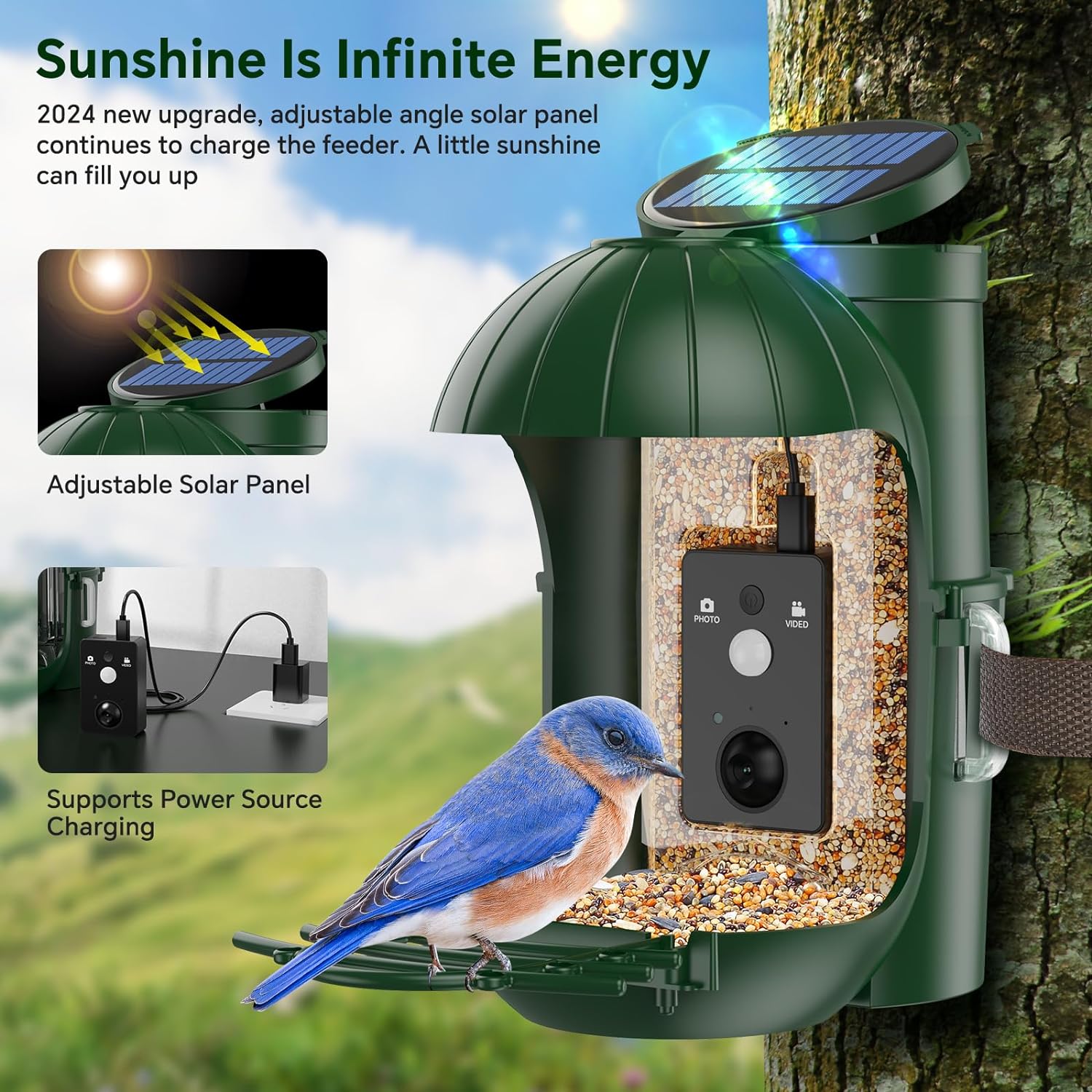Bird Feeder with Camera, Waterproof Smart Bird Feeder with Camera Solar Powered for Outdoors, Rechargeable & Detachable 110° Bird Feeder Camera, Auto Capture Bird HD Videos & Photos - Image 2