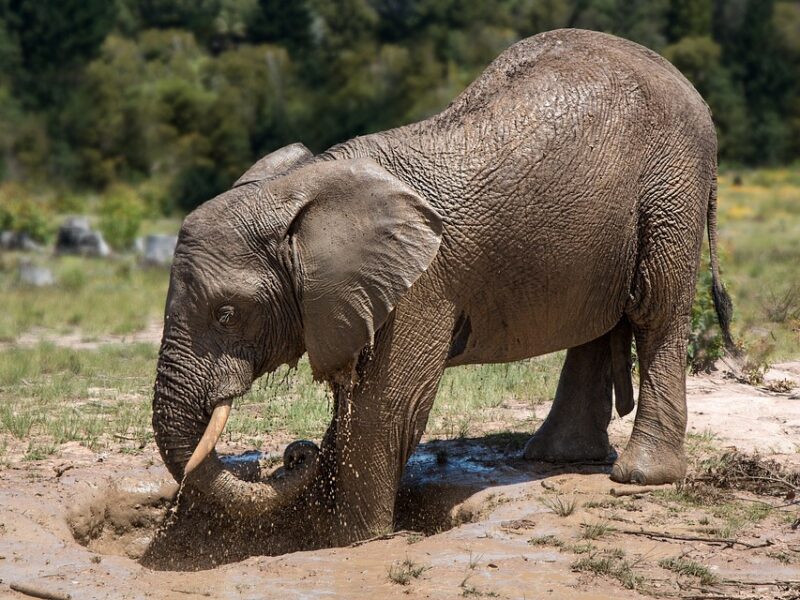 "The Ultimate Beauty Guide: Tips for All Skin Types"