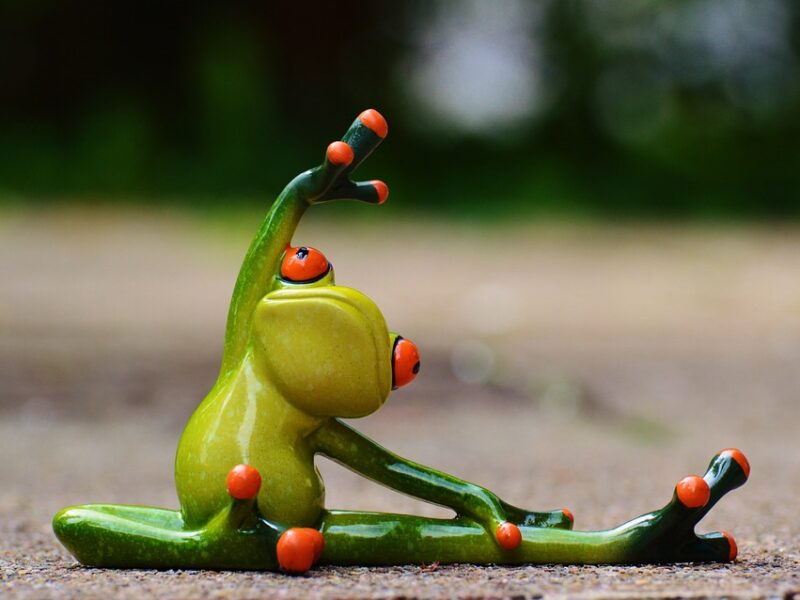 "The Ultimate Guide to Fitness: Tips From Industry Insiders"