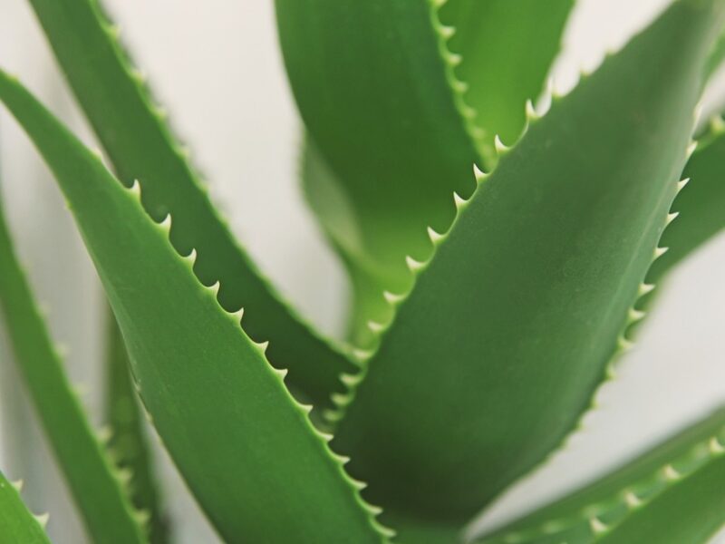 "The Insider’s Guide to Flawless Skin: Beauty Tips from the Pros"