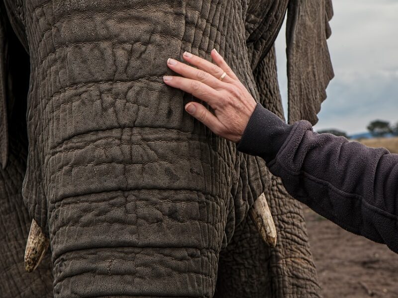 "Beauty on a Budget: Tips for Affordable Skincare and Makeup"