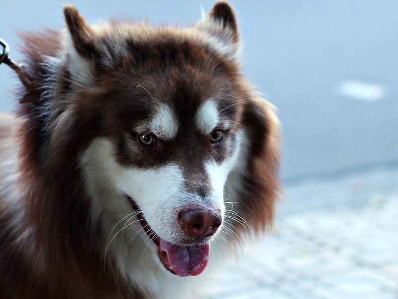 "Celebrities Share their Best-Kept Beauty Secrets"