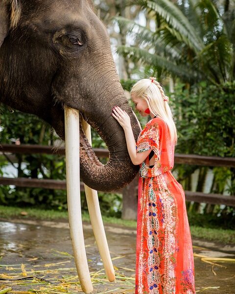 "How to Elevate Your Style: Expert Fashion Tips"