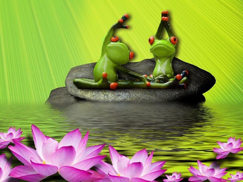 "5 Fitness Tips for Busy Professionals"