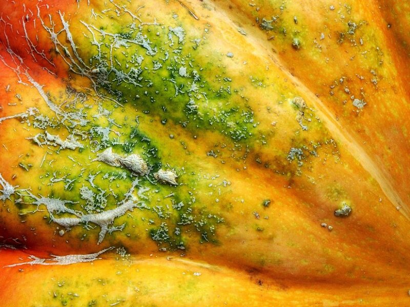 "10 Beauty Tips to Achieve a Flawless Complexion"