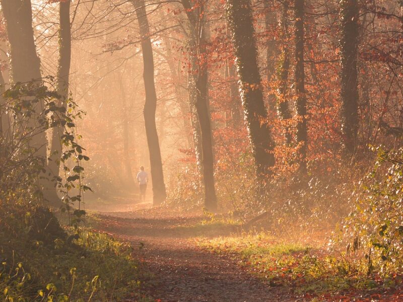 "Mastering Your Fitness Routine: Tips for a Stronger, Healthier You"